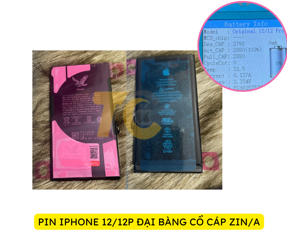 12_12P ZINA