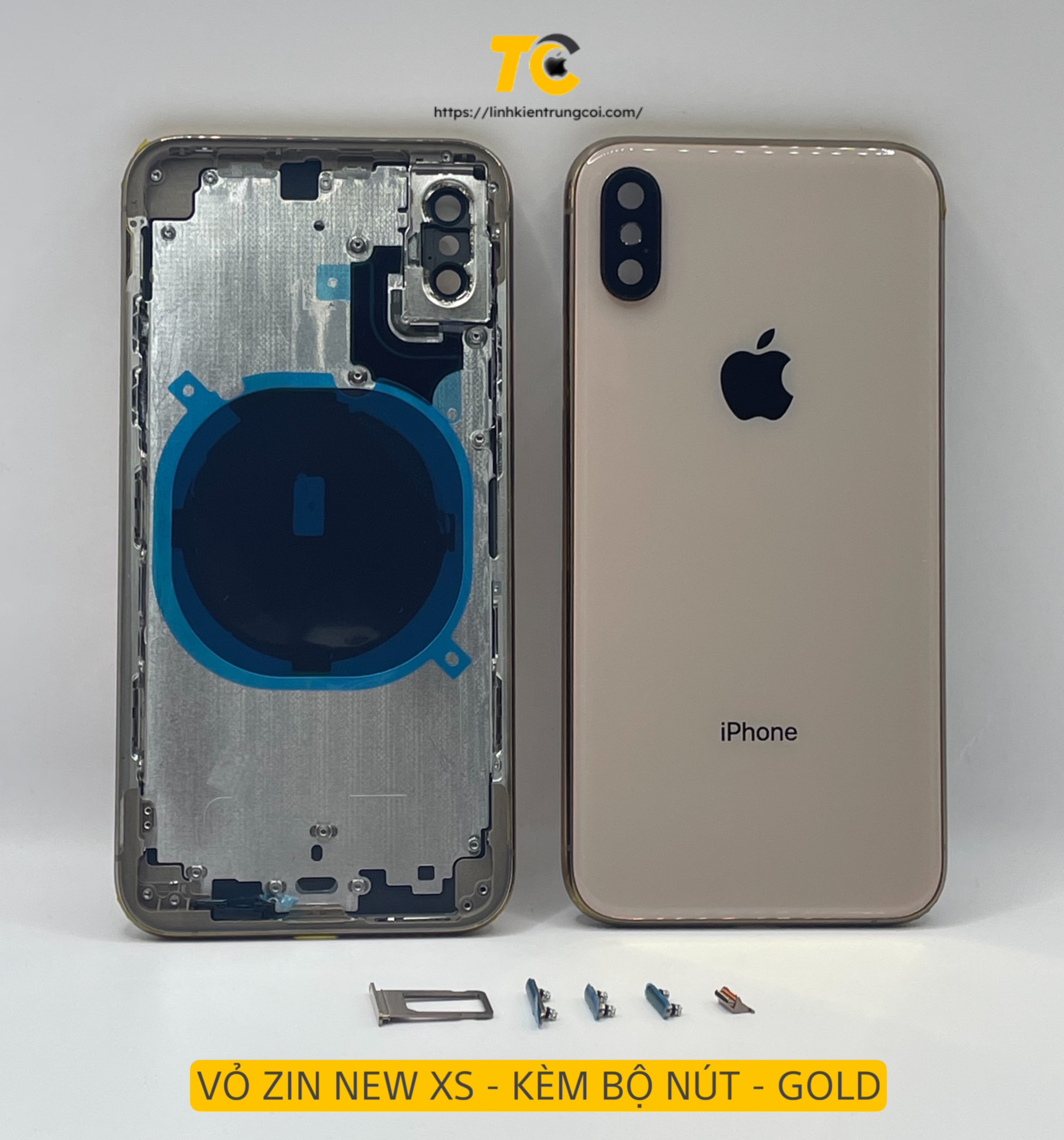 XS GOLD