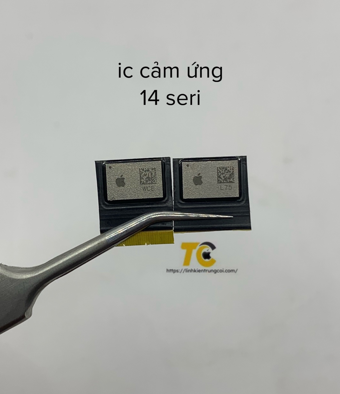 z5273383970435_2d7311f2bca24456cfd8618906339f78