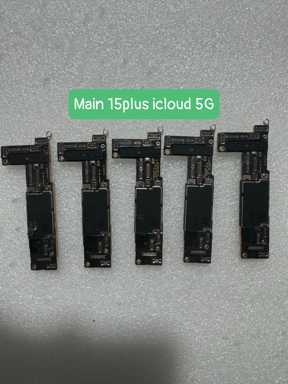 z5432896359007_01e8fd876f9505d2ed588c0b781dbd14